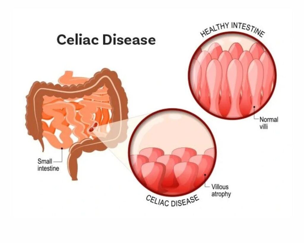 whatsapp image 2026 03 13 at 1.21.53 am