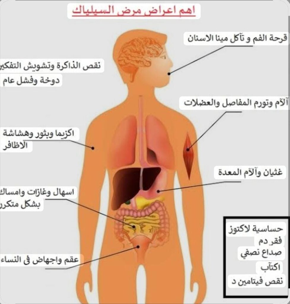 whatsapp image 2026 03 13 at 1.21.54 am